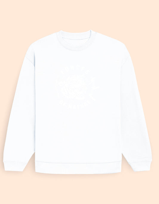Front_1_c_1.jpg